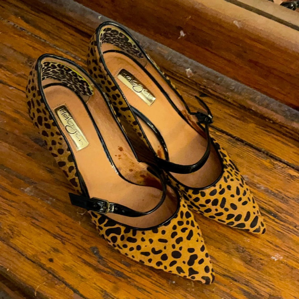 Halogen Cheetah Print Heel. size 6.5